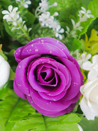 elegant and beautiful  fake purple rose flowers with artificial water drop.の写真素材