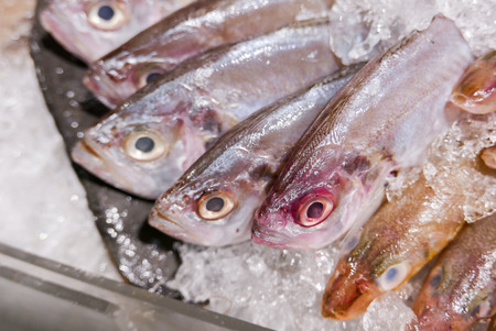 fresh fish, ORNATE THREADFIN BREAM cover with ice in seafood market.の写真素材