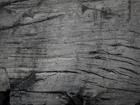 pieces of Black wood charcoal texture background.の写真素材