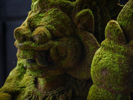 Balinese Carved Stone Statue of Rakasa covered with green moss. at Hindu Temple.の写真素材