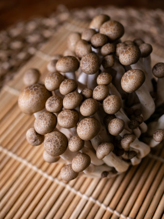 fresh brown shimeji mushroom or beech mushroom.の写真素材