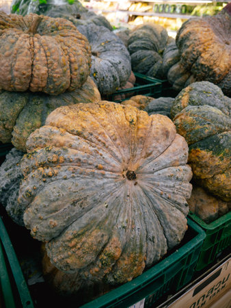 Pile of pumpkin in the supermarket.