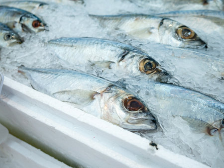 Fresh Bigeye scadÂ for sale at Fish market.
