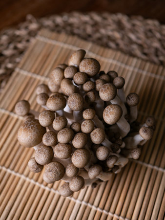 fresh brown shimeji mushroom or beech mushroom.の写真素材