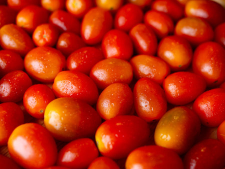 Organic Red grape cherry tomato. fresh vegetables. copy space.の写真素材