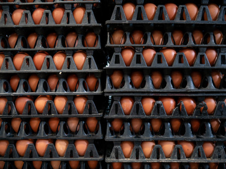Pile stacks of brown eggs in trays from an agricultural egg farm factory. For wholesale market.