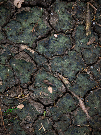 Dry cracked dark soil texture background in nature.