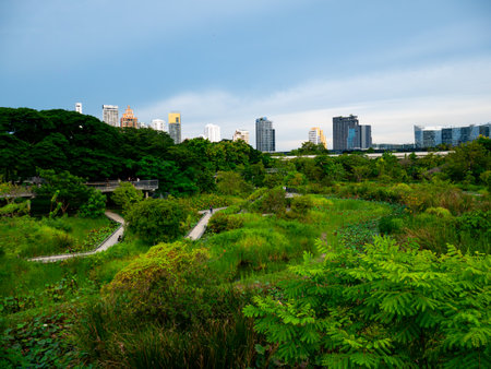 Bangkok, Thailand - August 03, 2025 : Urban Nature Scene at Benchakitti Forest Public Park with People in Bangkok.の写真素材