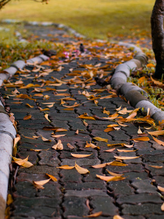Autumn Fallen Leaves Scattered on Brick Walkway Path - Peaceful Park Garden Pathway in Fall Season.の写真素材
