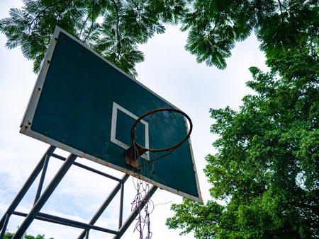 Basketball Hoop Under Green Trees - Low Angle View of Outdoor Basketball Court with Lush Tropical Foliage and Sky Background.の写真素材