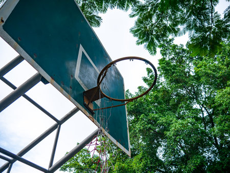 Basketball Hoop Under Green Trees - Low Angle View of Outdoor Basketball Court with Lush Tropical Foliage and Sky Background.の写真素材
