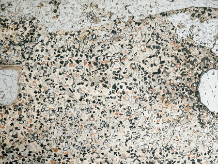 Terrazzo floor texture with colorful stone chips and marble fragments - Abstract speckled pattern background for modern interior designの写真素材