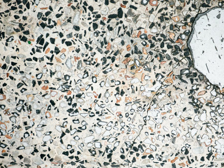 Terrazzo floor texture with colorful stone chips and marble fragments - Abstract speckled pattern background for modern interior designの写真素材