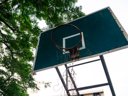 Basketball Hoop Under Green Trees - Low Angle View of Outdoor Basketball Court with Lush Tropical Foliage and Sky Background.の写真素材