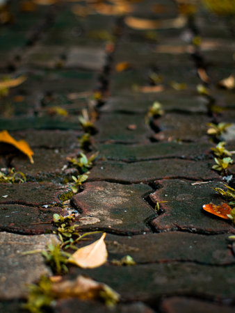 Autumn Curved Brick Pathway Background - Winding Stone Walkway Design for Creative.