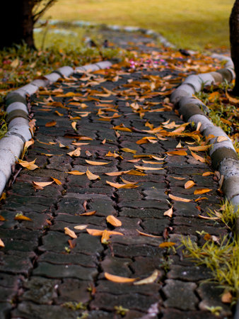 Autumn Fallen Leaves Scattered on Brick Walkway Path - Peaceful Park Garden Pathway in Fall Season.の写真素材