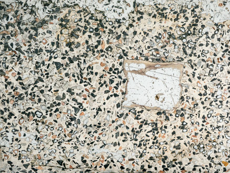 Terrazzo floor texture with colorful stone chips and marble fragments - Abstract speckled pattern background for modern interior designの写真素材