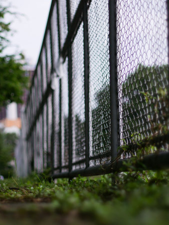 Chain Link Fence with Green Plants Growing at Base - Nature Meeting Industrial Barrier in Garden...