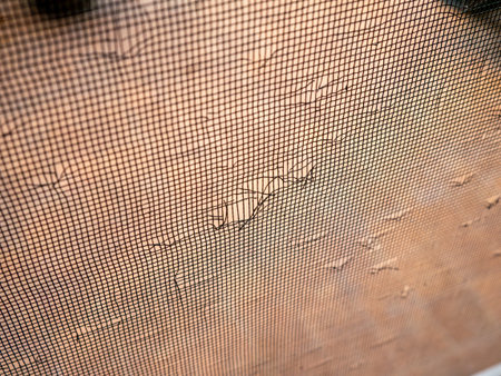 Damaged Door Screen Mesh with Cat Scratches and Holes Pet Destruction Home Repair Needed