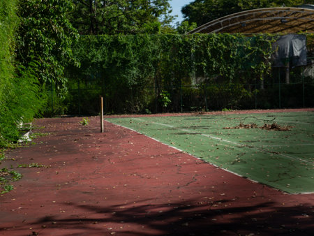 Abandoned weathered tennis court with cracked surface overgrown by moss and weeds surrounded by lush green trees in tropical forestの写真素材