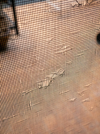 Damaged Door Screen Mesh with Cat Scratches and Holes Pet Destruction Home Repair Needed