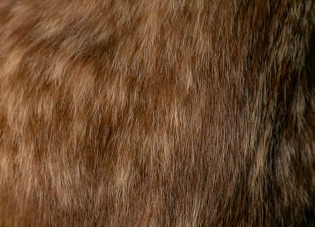 Abstract macro closeup of brown and golden animal fur texture with flowing wavy strands and natural highlightsの写真素材