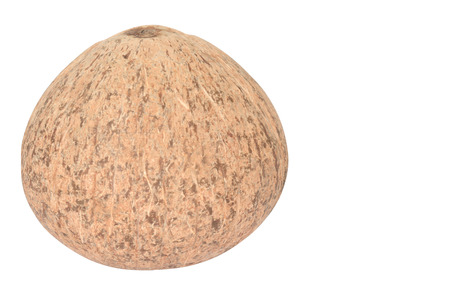 coconut that is shoot at lateral of it side isolated on white background 