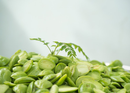 sprout of fragrant that grow from sato twisted cluster bean that is smelly seedの写真素材