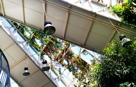 Garden plants in the greenhouse. Conservatory (orangery) building architecture of Minsk Belarus....