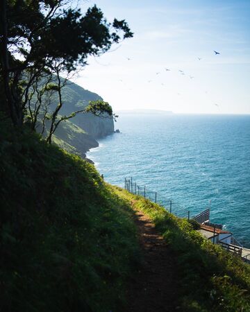 Forest path with views of the ocean and cliffsの写真素材