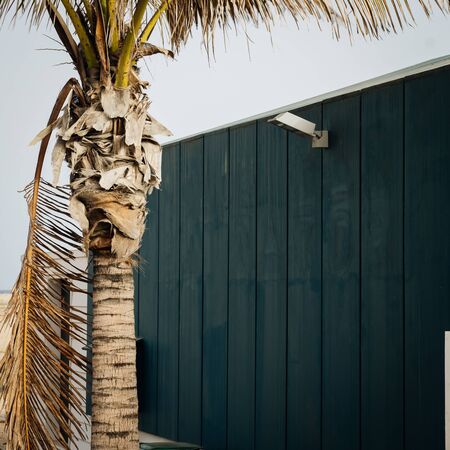 Shot of blue wood cabin with the words beach bar and palm tree in frontの写真素材