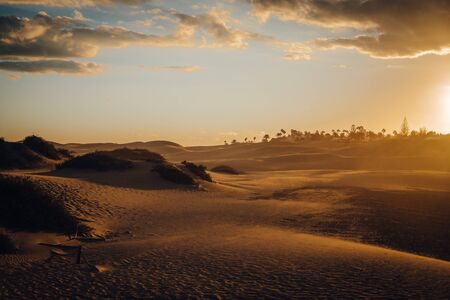 Maspalomas, Canary Islands. Desert dunes at sunset with very orange tonesの写真素材