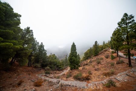 Beautiful arid scene of Gran Canaria's mountains in center of the islandの写真素材