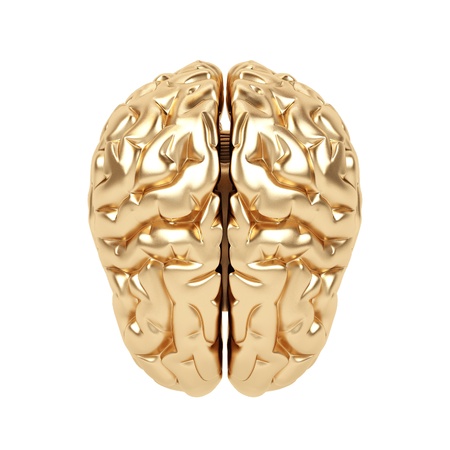 Golden brain on a white background.の写真素材