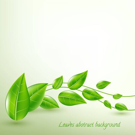 Background with beautiful green leaves. Vector flying leaves abstract background.のイラスト素材
