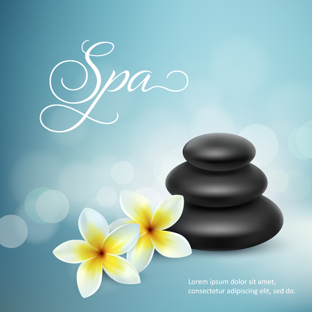 Plumeria flowers and zen stone isolated on white background. Vector illustrationのイラスト素材