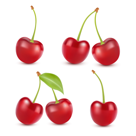Cherry realistic fruit vector icons set. Isolated vector illustrationのイラスト素材