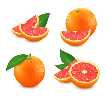 Set of isolated grapefruits. Realistic citrus image. 3d vectorのイラスト素材