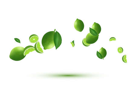 Lime with lime slices and eaves in flight. Realistic vector image isolated on whiteのイラスト素材