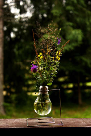 I founded this particular vase at a lodge in the mountainsの写真素材