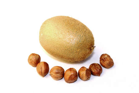 some hazelnuts are excelent to eat with a kiwi fruitの写真素材