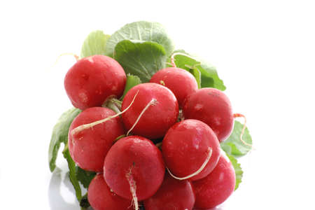 handful of red radishes and green leafsの写真素材