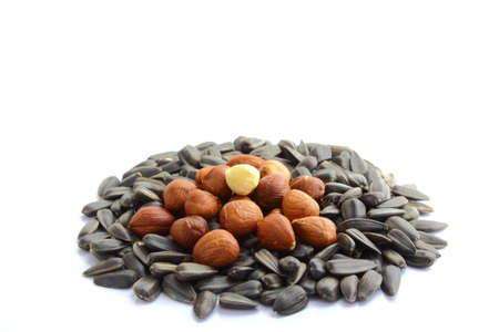 hazelnuts on top of black sunflower seeds の写真素材