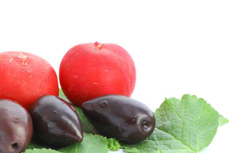 kalamata olives and red radishes on a green leafの写真素材