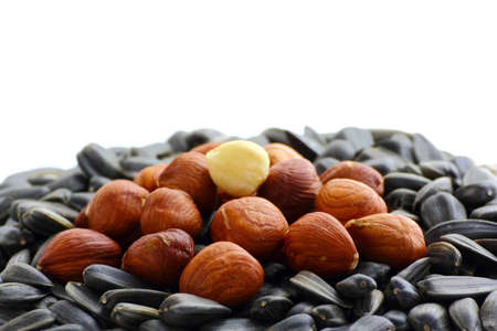 some hazelnuts on top of a bunch of sunflower seedsの写真素材