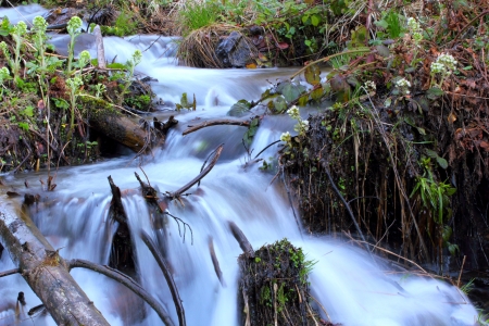 flowing mountain river near the spring の写真素材
