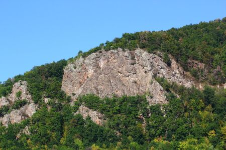 rocks in the middle of a wild forestの写真素材