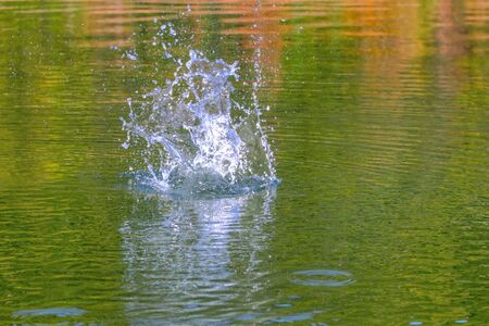 splash of water made by a stone in a mountain lakeの写真素材