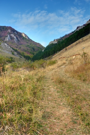 hiking track heading Padinei gorges, Trascau mountains, Romaniaの写真素材