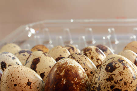 organic food - quail eggs for dietingの写真素材
